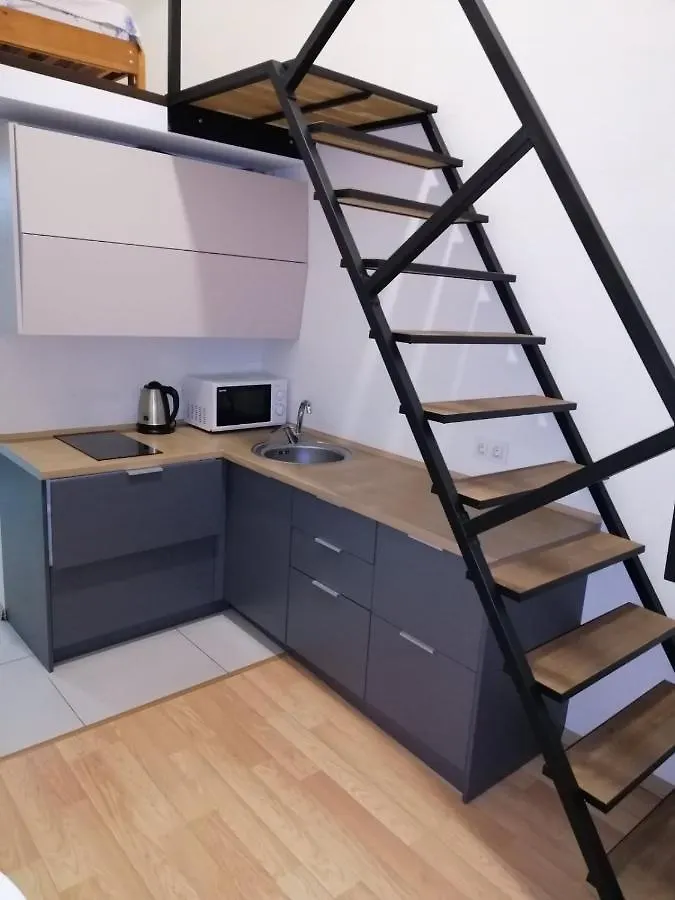 Loft Smart House Apartment Kyiv